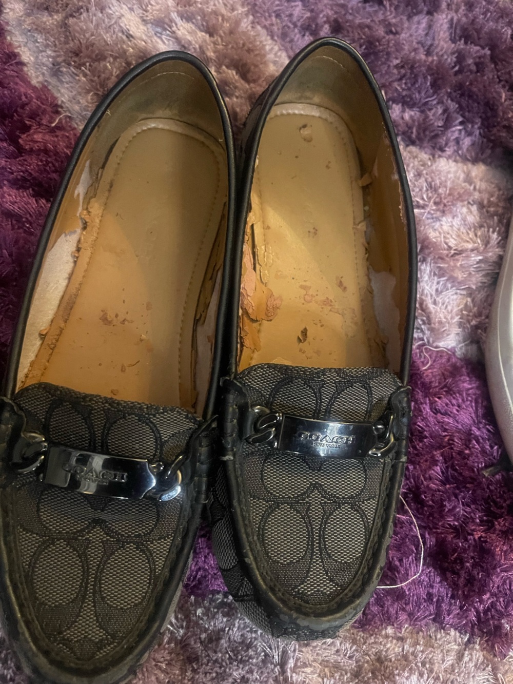 Coach Black Signature Logo Driving Loafers with Silver Bit